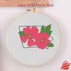FunHandMade - Iowa State Collection: Craft, Immerse, and Express Your Creativity
