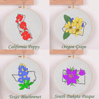 FunHandMade - Texas State Collection: Craft, Immerse, and Express Your Creativity